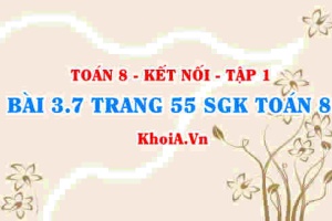 Bài 3.7 trang 55 SGK Toán 8 tập 1 Kết nối tri thức